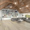 Dawn Patrol Legends Vinyl Flooring Vinyl Flooring 