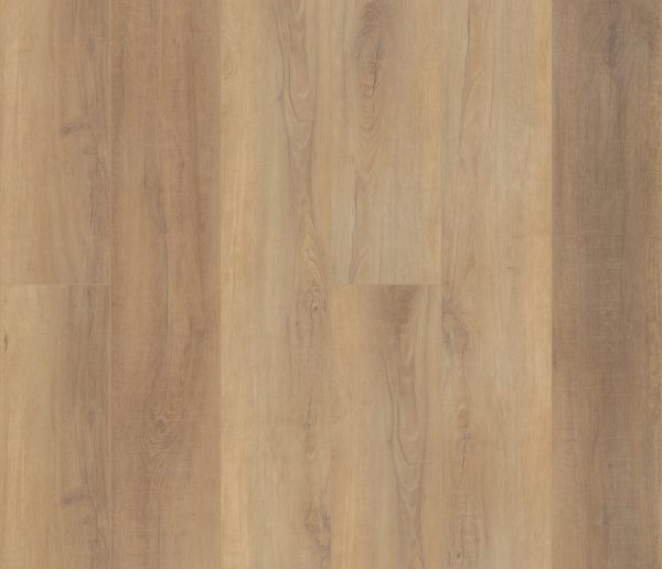 CANTERBURY ELM COREtec Pro Premium, Coretecfloors 