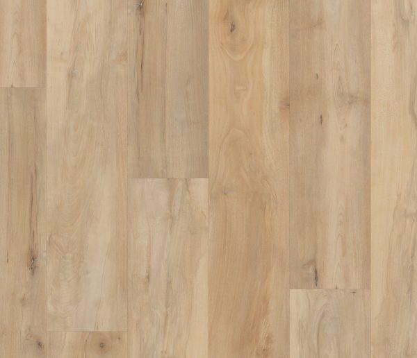 BROOKFIELD MAPLE COREtec Pro Premium, Coretecfloors 