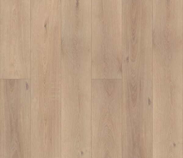 RAVENSWOOD OAK COREtec Pro Premium, Coretecfloors 
