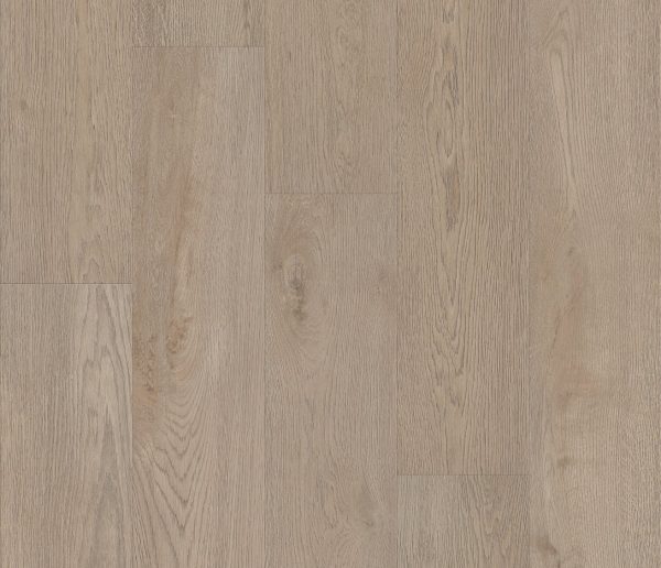 MORNINGSIDE OAK COREtec Scratchless, Coretecfloors 