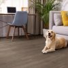 HEYWARD OAK COREtec Scratchless, Coretecfloors 