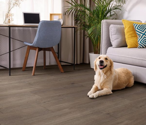 HEYWARD OAK COREtec Scratchless, Coretecfloors 