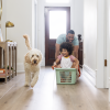 WYTHE OAK COREtec Scratchless, Coretecfloors 