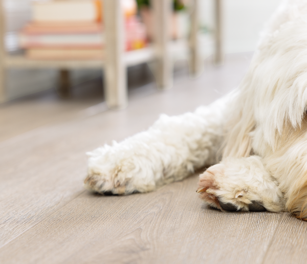 WYTHE OAK COREtec Scratchless, Coretecfloors 