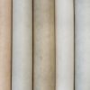 Monstera Plain White  