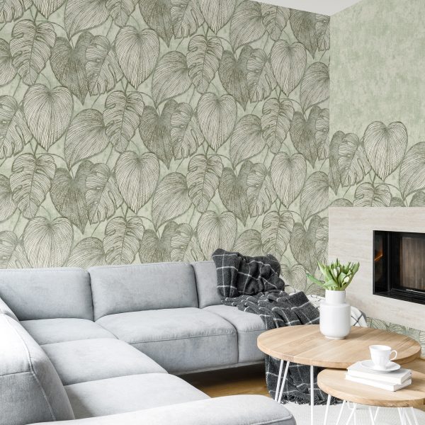 Monstera Green  