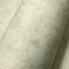 Monstera Plain Green  