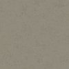 Rough Texture Beige  