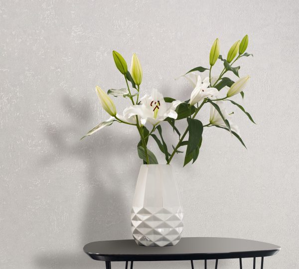 Fruit Tile Cream  