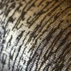 Manhattan /Loft Tile Blue  