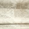 Nerites Silver Grey  