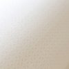 Haga / Vignette Stripe Cream  