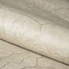 Monstera Plain Green  