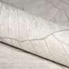 Monstera Silver Grey  