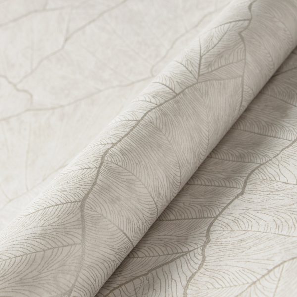 Monstera Silver Grey  