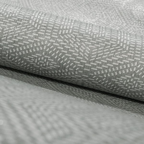 Monstera Silver Grey  