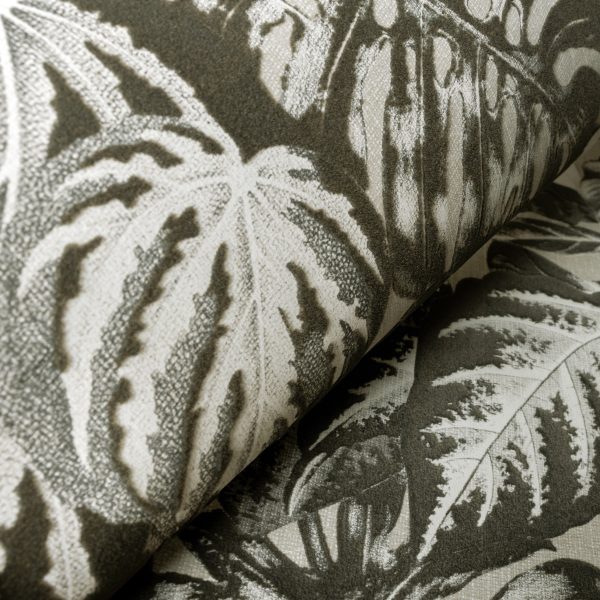 Monstera Plain Green  
