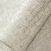 Monstera Silver Grey  
