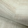 Ficus Green  