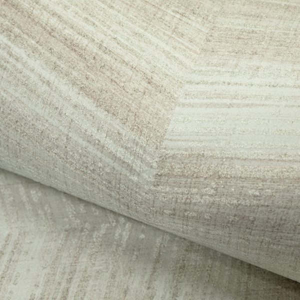 Ficus Green  