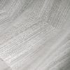 Ficus Green  