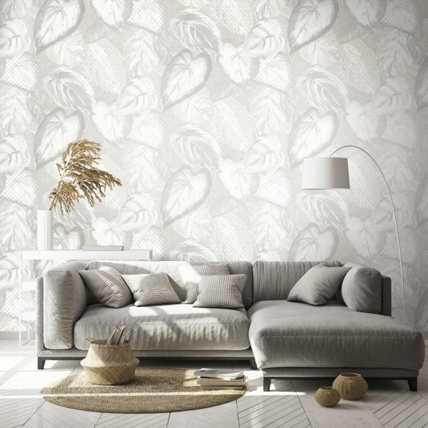 Ficus Silver Grey  