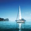 Coffee Black  
