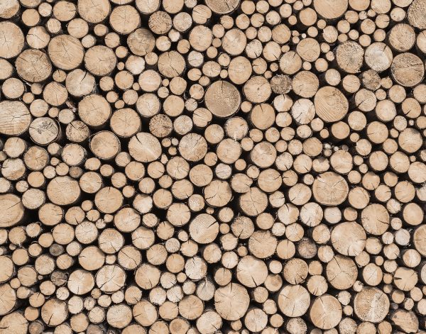 Grasscloth Cream  