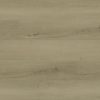 Ashton 2.0 Benton Blonde Luxury Vinyl Plank  