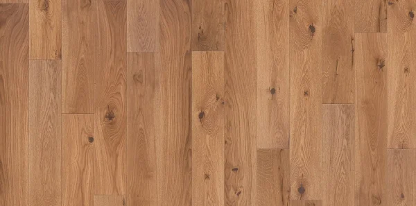 Bergen Designer Solution Bergen Designer Solution