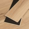 Calypso Cove Legends Vinyl Flooring Vinyl Flooring Calypso Cove Legends Vinyl Flooring Vinyl Flooring