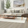 Bird Rock Ridge CALI Vinyl Windansea High Tide All Waterproof 