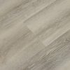 Bird Rock Ridge CALI Vinyl Windansea High Tide All Waterproof 