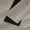 Bird Rock Ridge CALI Vinyl Windansea High Tide All Waterproof 