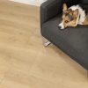 South Wind Oak Legends Vinyl Flooring Vinyl Flooring 
