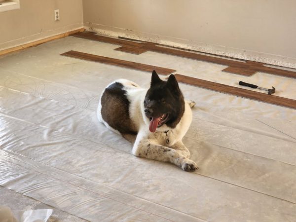 Classic Acacia Windansea Vinyl Flooring Vinyl Flooring 
