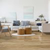 Coastal Eucalyptus Windansea Vinyl Flooring Vinyl Flooring 