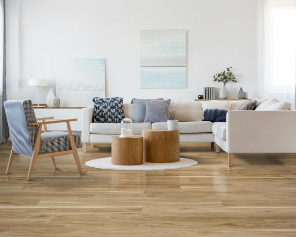 Coastal Eucalyptus Windansea Vinyl Flooring Vinyl Flooring 