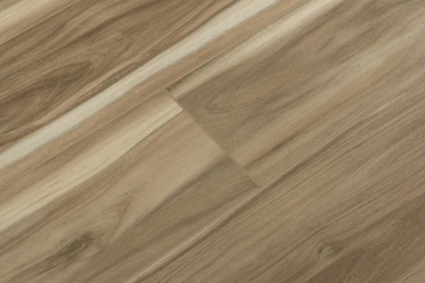 Coastal Eucalyptus Windansea Vinyl Flooring Vinyl Flooring 