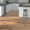 South Seas Windansea Vinyl Flooring Vinyl Flooring 