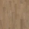 Sandy Designer Solution Sandy Designer Solution