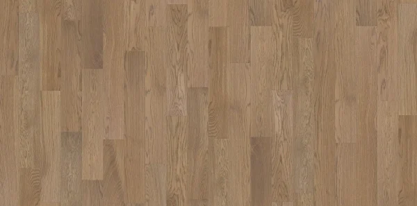 Sandy Designer Solution Sandy Designer Solution