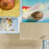 Ivory Designer Solution 