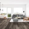 Xl Cyrus® Jenta&reg; Luxury Vinyl Planks  