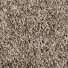 Dried Peat  
