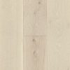Seaspray Oak  