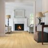 Oyster Oak  