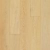 Sandcastle Oak  