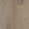 Steel Maple  